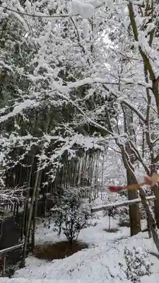 圓光寺(京都府)