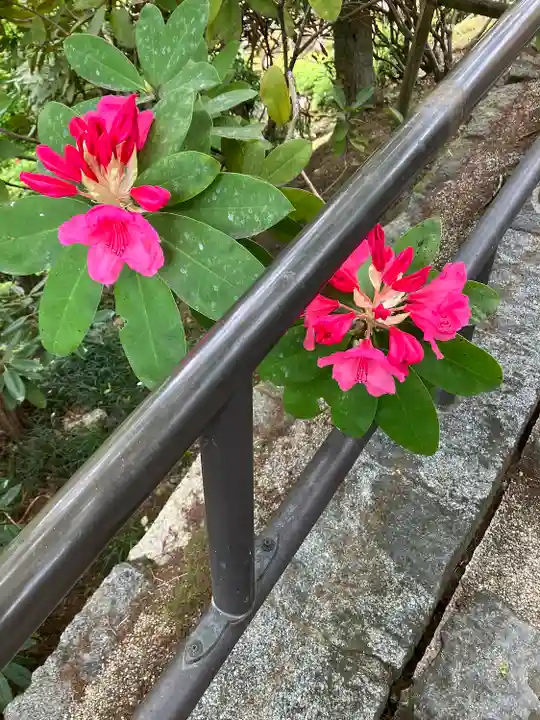 岡寺(龍蓋寺)(奈良県)