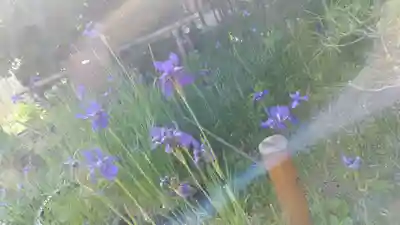 梅宮大社(京都府)