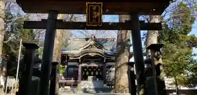 明治神社の鳥居