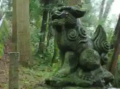 白山比咩神社の狛犬