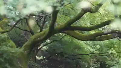 青蓮院門跡(京都府)