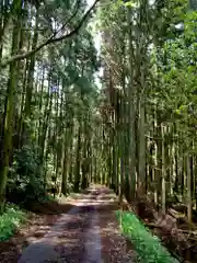 韓竈神社の自然