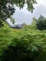 東福禅寺(東福寺)(京都府)
