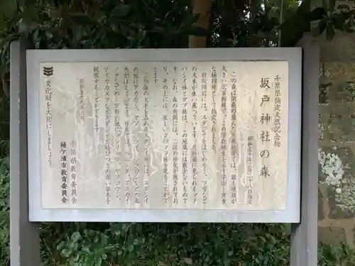 坂戸神社の歴史