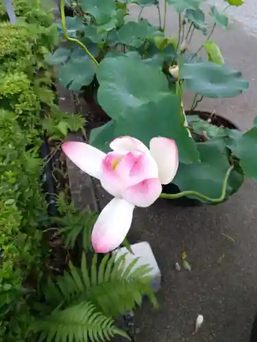 加藤神社(熊本県)