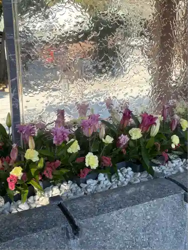 宮地嶽神社(福岡県)