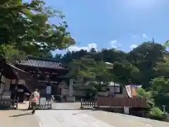 岡寺（龍蓋寺）の建物その他