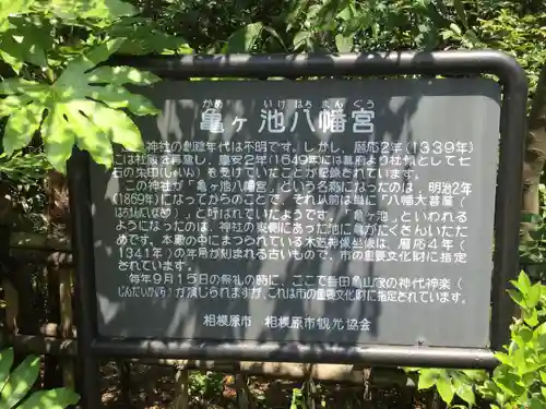 亀ケ池八幡宮の歴史