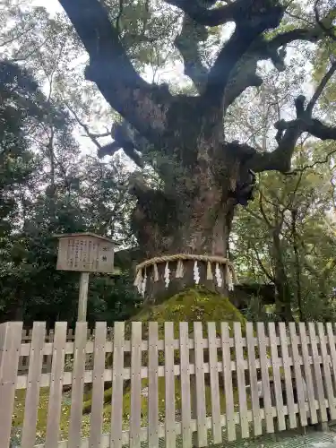熱田神宮の{uncategorized: "未分類", other: "その他", undefined: "問題あり", building: "その他建物", grave: "お墓", sacred_gate: "鳥居", guardian: "狛犬", statue: "像", buddha: "仏像", history: "歴史", nature: "自然", garden: "庭園", animal: "動物", pagoda: "塔", temizu: "手水舎", mountain_gate: "山門・神門", sanctuary: "本殿・本堂", subordinate: "末社・摂社", art: "芸術", scenery: "景色", jizo: "地蔵", ema: "絵馬", goshuin: "御朱印", omikuji: "おみくじ", items: "授与品その他", amulet: "お守り", goshuincho: "御朱印帳", eats: "食事", festival: "お祭り", votive_dance: "神楽", shichigosan: "七五三参", wedding: "結婚式", experience: "体験その他", initially: "初詣", around: "周辺", anti_infection: "感染症対策"}