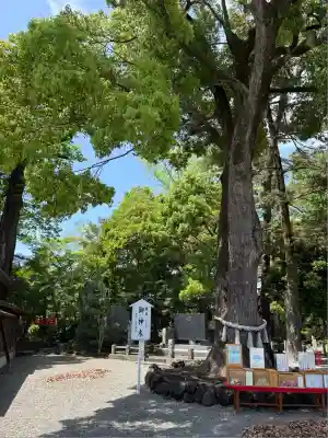 玉村八幡宮(群馬県)