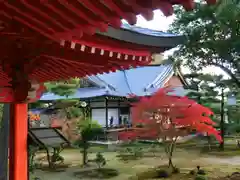 大覚寺の建物その他