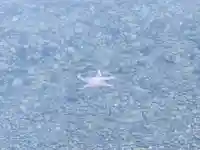 白濱神社(鹿児島県)