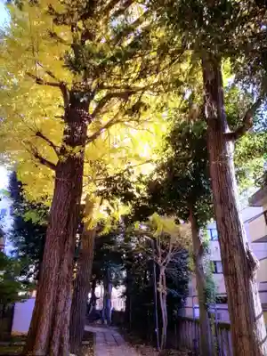 荻窪白山神社(東京都)
