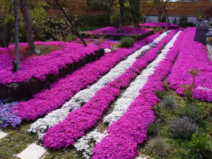 寿量山 速成寺(奈良県)