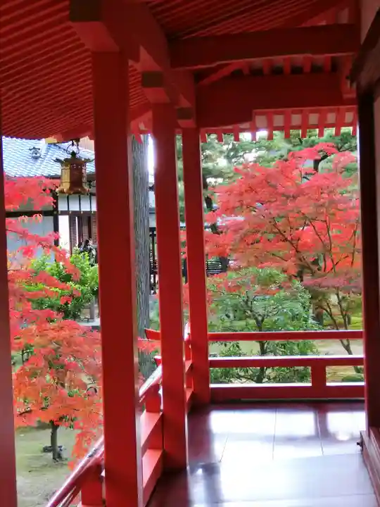 大覚寺のその他建物