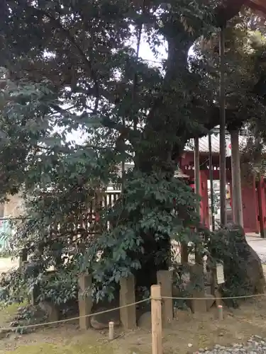 金王八幡宮のその他建物