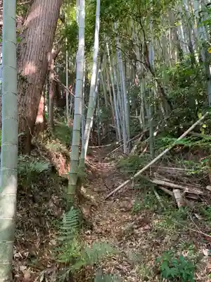 駒形神社の周辺