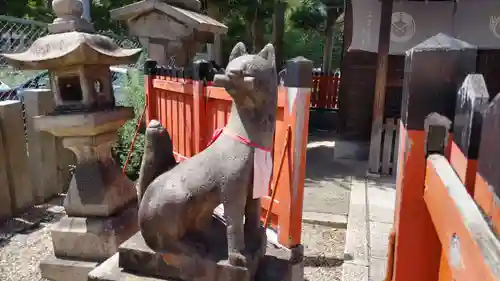 姫嶋神社の狛犬