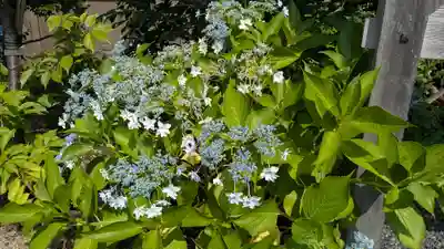 新知恩院(滋賀県)