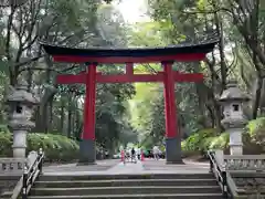 大宮八幡宮の鳥居