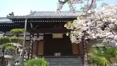 圓通寺の本殿