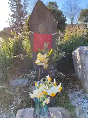 般若寺 ❁﻿コスモス寺❁(奈良県)