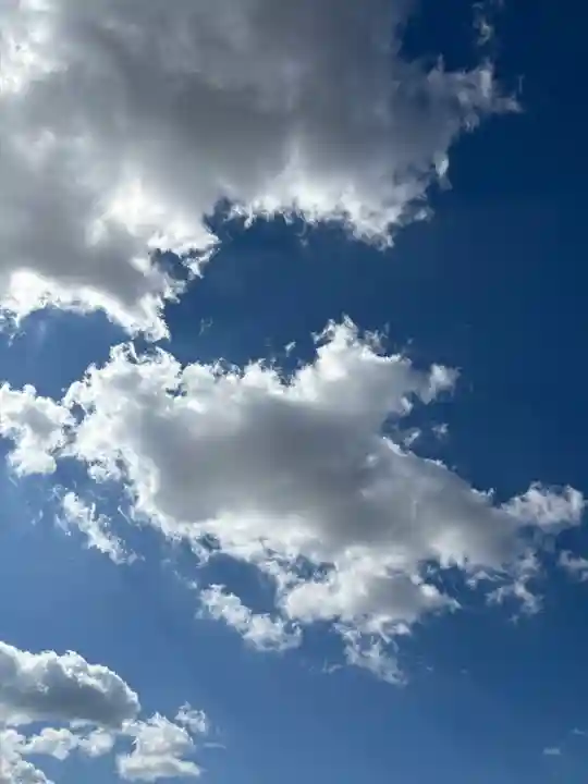 不動院(板橋不動尊)(茨城県)