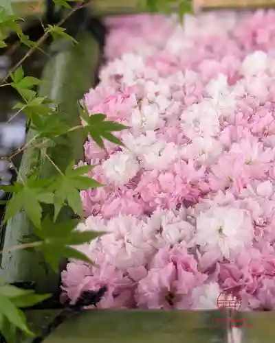 立志神社(滋賀県)