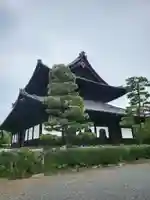 建仁寺(建仁禅寺)(京都府)