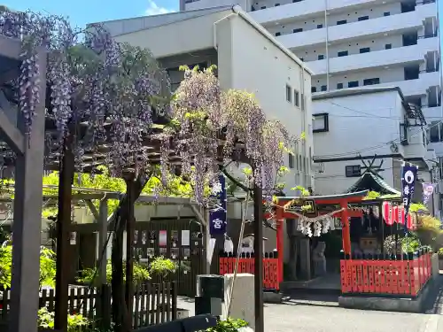 藤之宮　春日神社（野田の藤跡）(大阪府)
