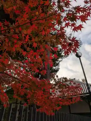 妙法寺(東京都)