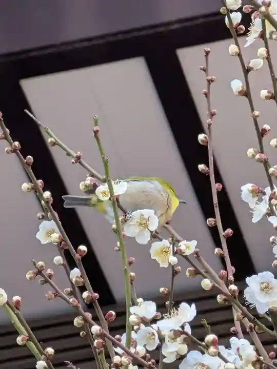熊野神社(東京都)