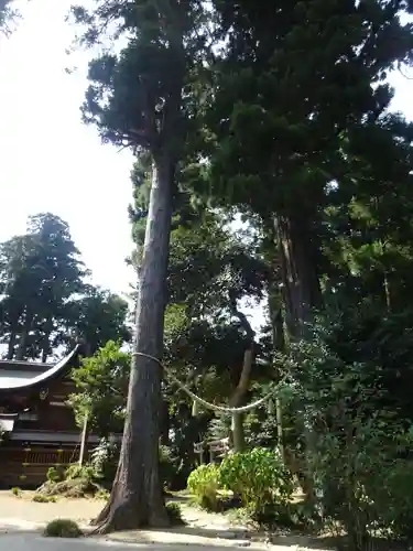 山倉大神の自然