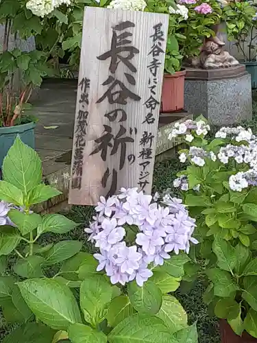 長谷寺(神奈川県)