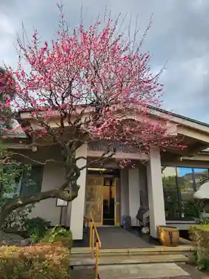 龍雲寺(東京都)