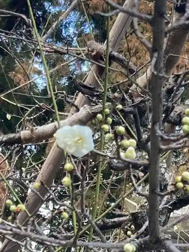 高宮神社(滋賀県)