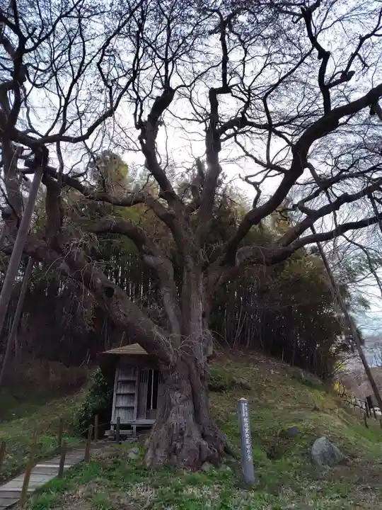 延命地蔵尊(福島県)