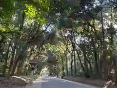 明治神宮の建物その他