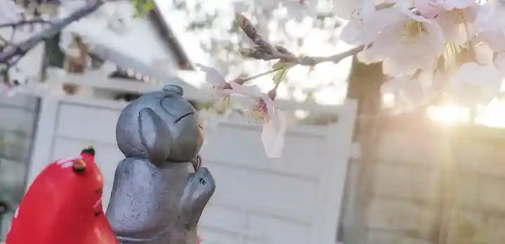 尾張大國霊神社(国府宮)の自然
