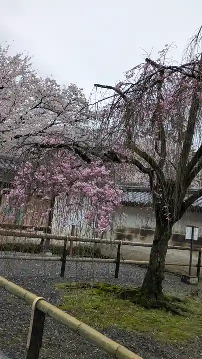 醍醐寺(京都府)
