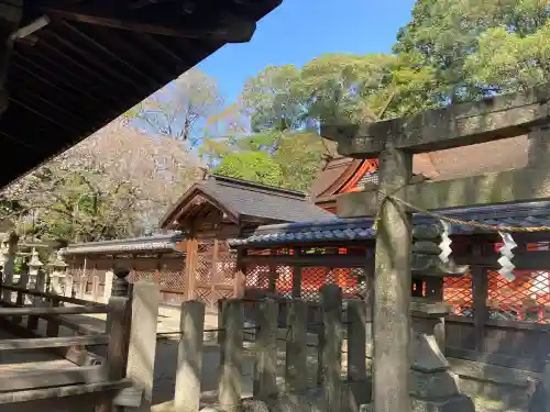 積川神社の{uncategorized: "未分類", other: "その他", undefined: "問題あり", building: "その他建物", grave: "お墓", sacred_gate: "鳥居", guardian: "狛犬", statue: "像", buddha: "仏像", history: "歴史", nature: "自然", garden: "庭園", animal: "動物", pagoda: "塔", temizu: "手水舎", mountain_gate: "山門・神門", sanctuary: "本殿・本堂", subordinate: "末社・摂社", art: "芸術", scenery: "景色", jizo: "地蔵", ema: "絵馬", goshuin: "御朱印", omikuji: "おみくじ", items: "授与品その他", amulet: "お守り", goshuincho: "御朱印帳", eats: "食事", festival: "お祭り", votive_dance: "神楽", shichigosan: "七五三参", wedding: "結婚式", experience: "体験その他", initially: "初詣", around: "周辺", anti_infection: "感染症対策"}