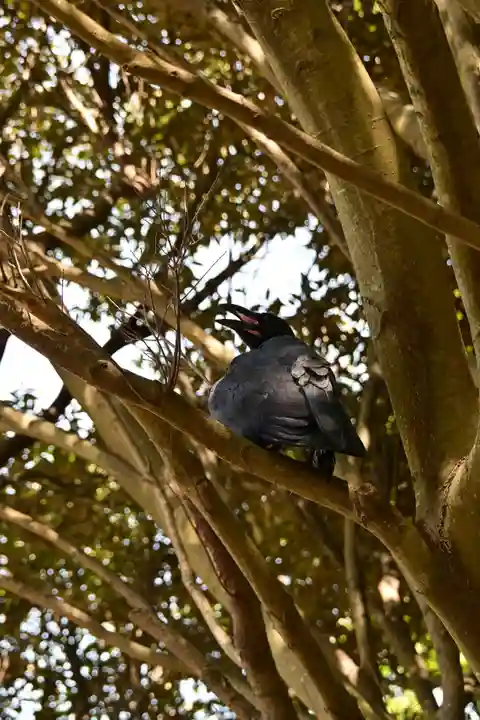 由良比女神社(島根県)