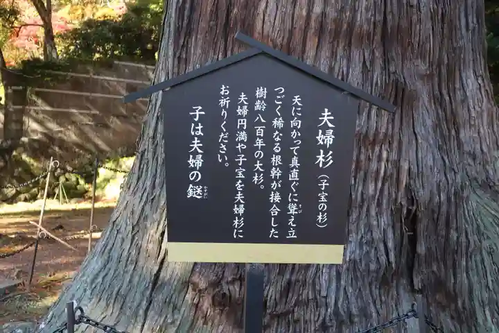 日枝神社(静岡県)