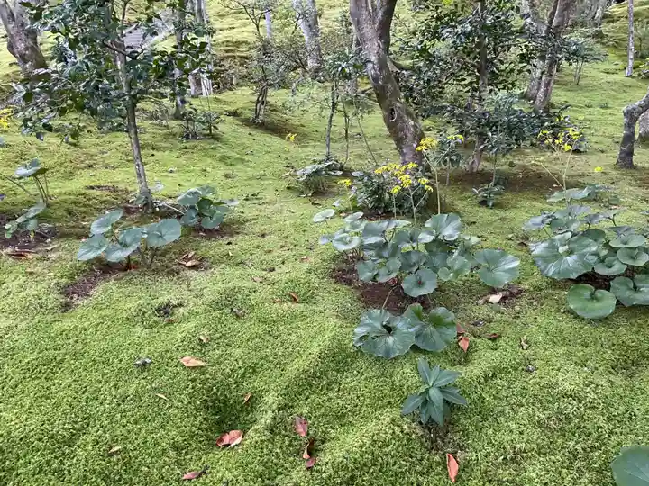 常寂光寺の庭園