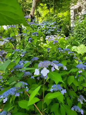 長命寺(福島県)