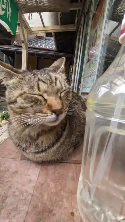 福住寺(愛知県)