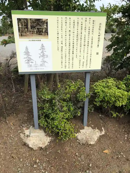 洞昌院(神奈川県)