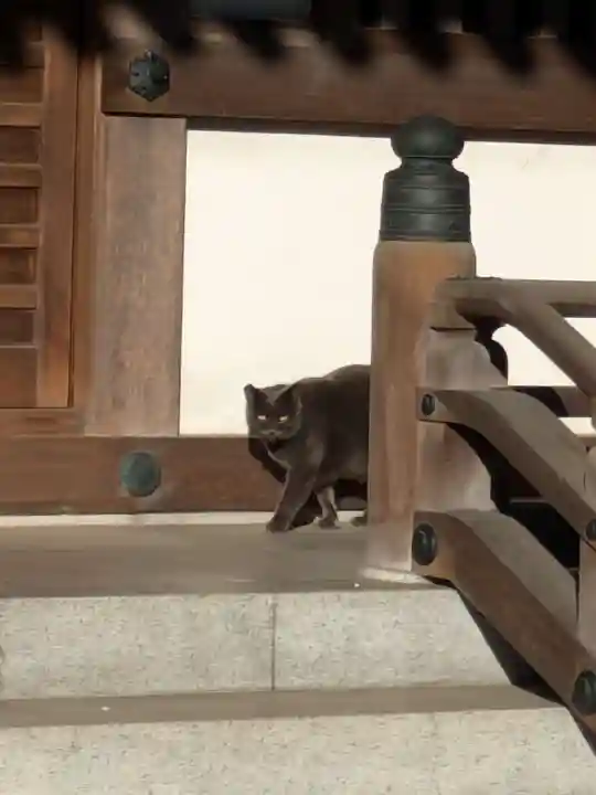 香念寺(東京都)