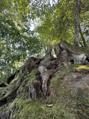 鹿苑寺（金閣寺）の御朱印